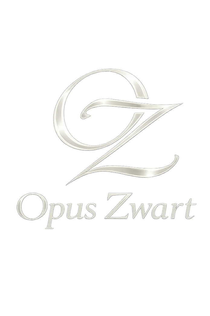 Opus Zwart | Online Kunstgalerie voor Originele Kunst